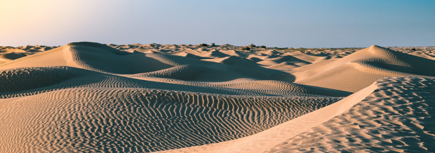 Découvrez les Circuits Sahara Tunisie avec Mosaique Travel